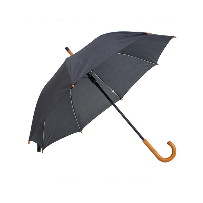 UMBRELLA ERIE